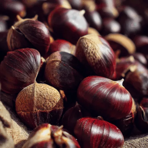 Boiled Chestnuts