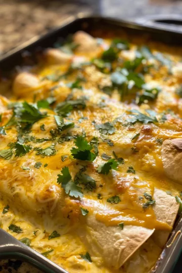 creamy chicken enchiladas with Honey Mustard Dressing taken with iphone 15 pro max --iw 2 --ar 4:5 --v 6.0 --raw