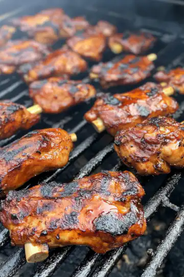 Bbq Chicken taken with iphone 15 pro max --iw 2 --ar 4:5 --v 6.1 --raw