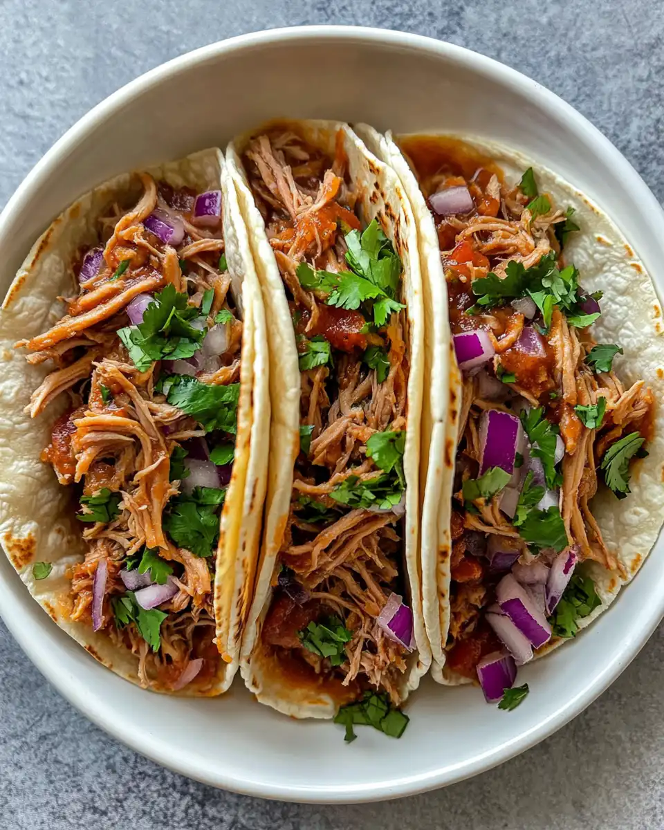 Ingredients for slow cooker pulled pork tacos including spices and salsa mix