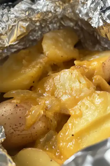 Wrap Potatoes In Tin Foil And Put In Crock Pot taken with iphone 15 pro max --iw 2 --ar 4:5 --v 6.1 --raw