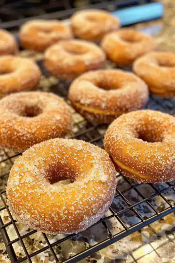 Baked Cinnamon Sugar Donuts taken with iphone 15 pro max --iw 2 --ar 4:5 --v 6.0 --raw